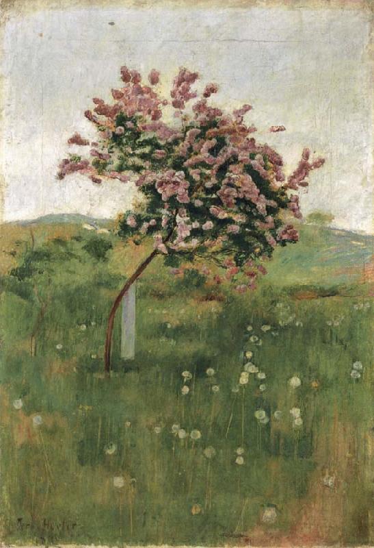 Ferdinand Hodler THe Lilac Germany oil painting art